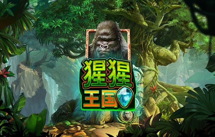 k8体育电子官方网站